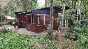 Bosbungalow de Eekhoorn